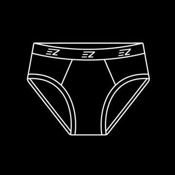 Briefs